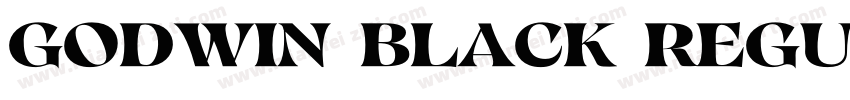 Godwin Black Regular字体转换